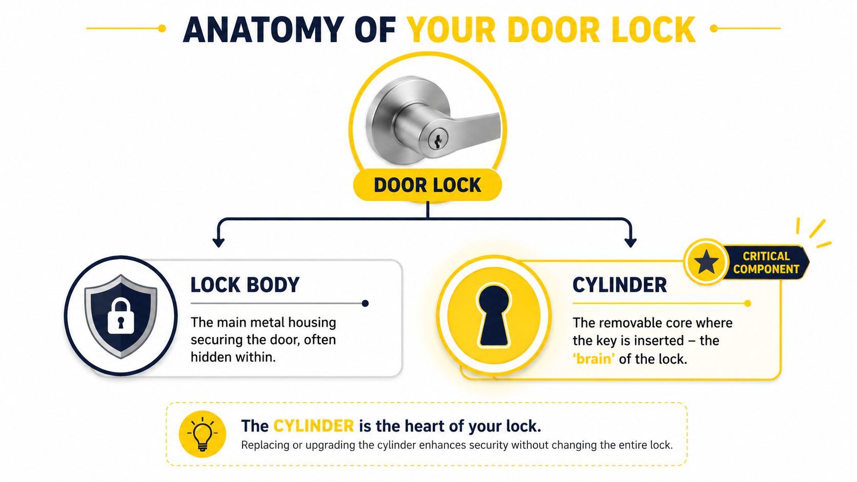 An infographic showing the anatomy of a door lock with emphasis on the internal cylinder component.